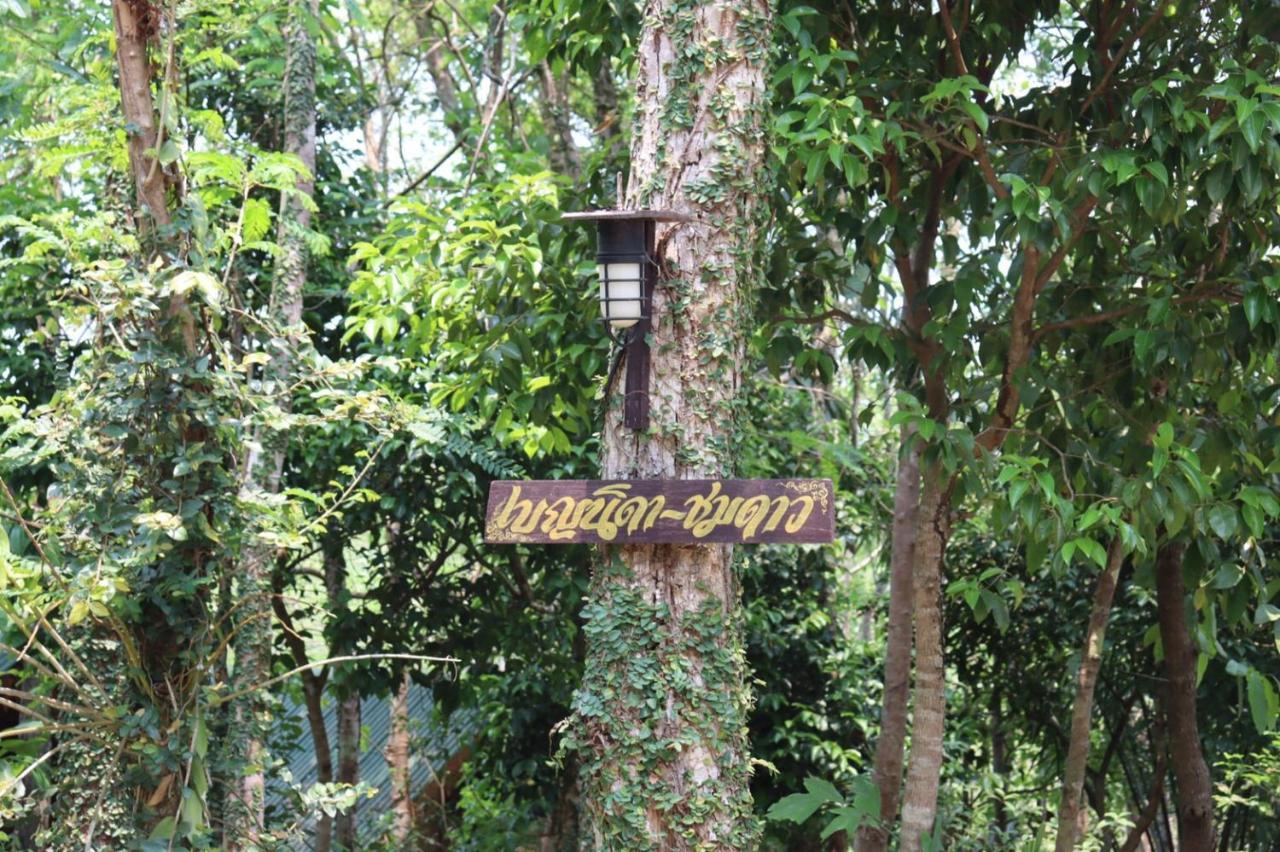 Marisa Resort & Spa Chiang Dao Ban Muang Ngai Zewnętrze zdjęcie