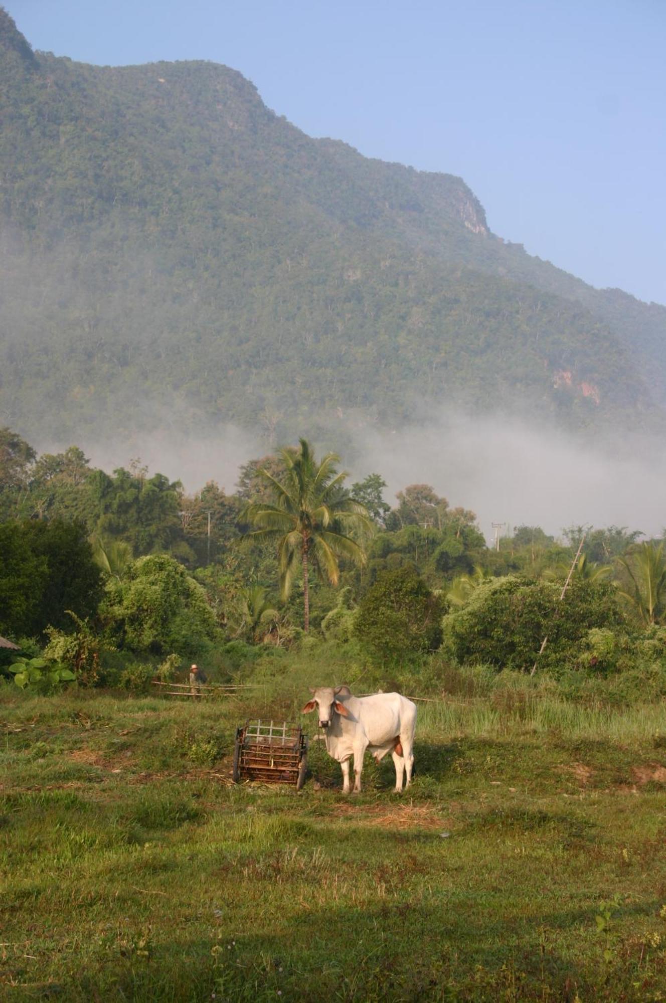 Marisa Resort & Spa Chiang Dao Ban Muang Ngai Zewnętrze zdjęcie