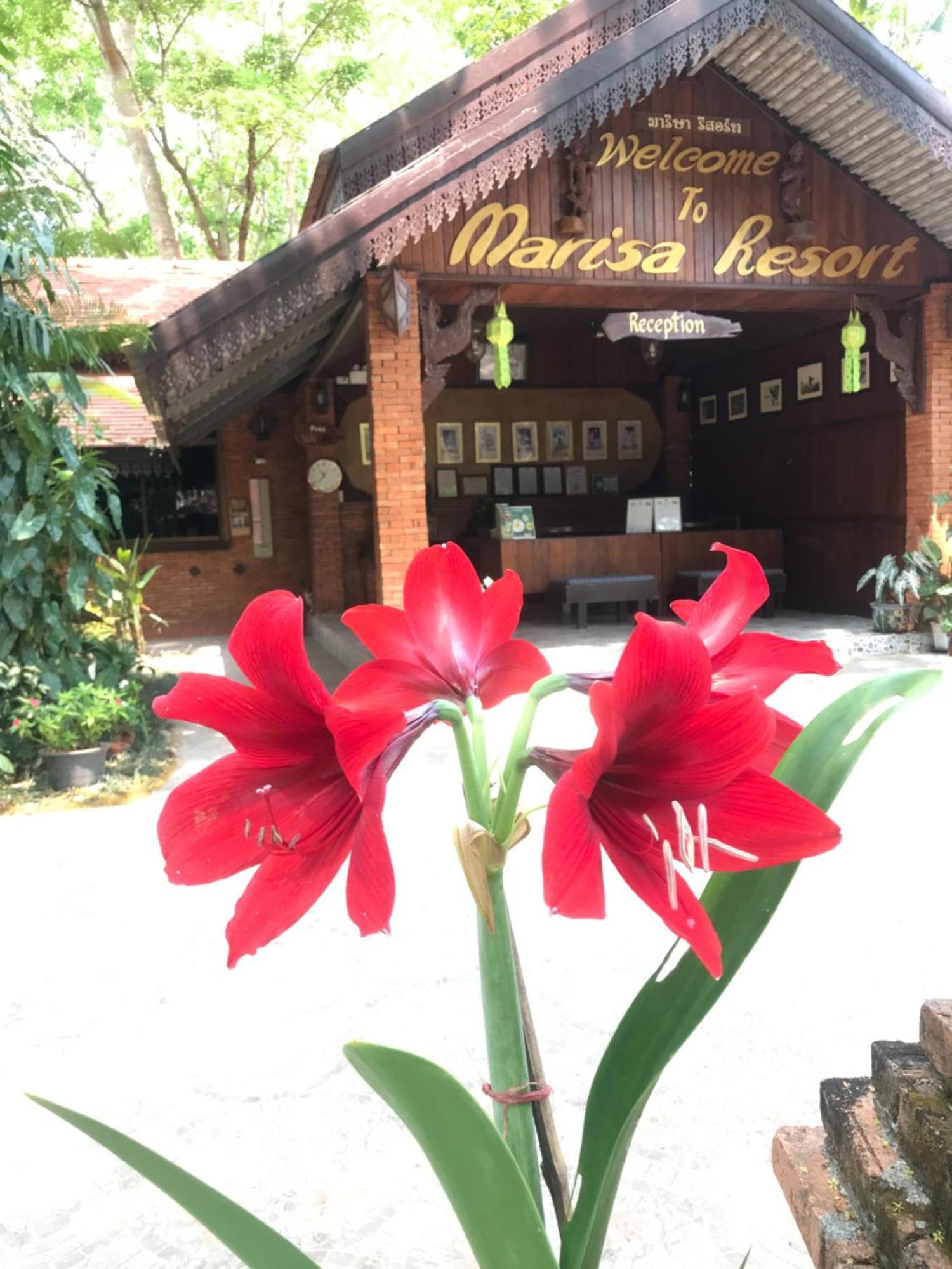 Marisa Resort & Spa Chiang Dao Ban Muang Ngai Zewnętrze zdjęcie