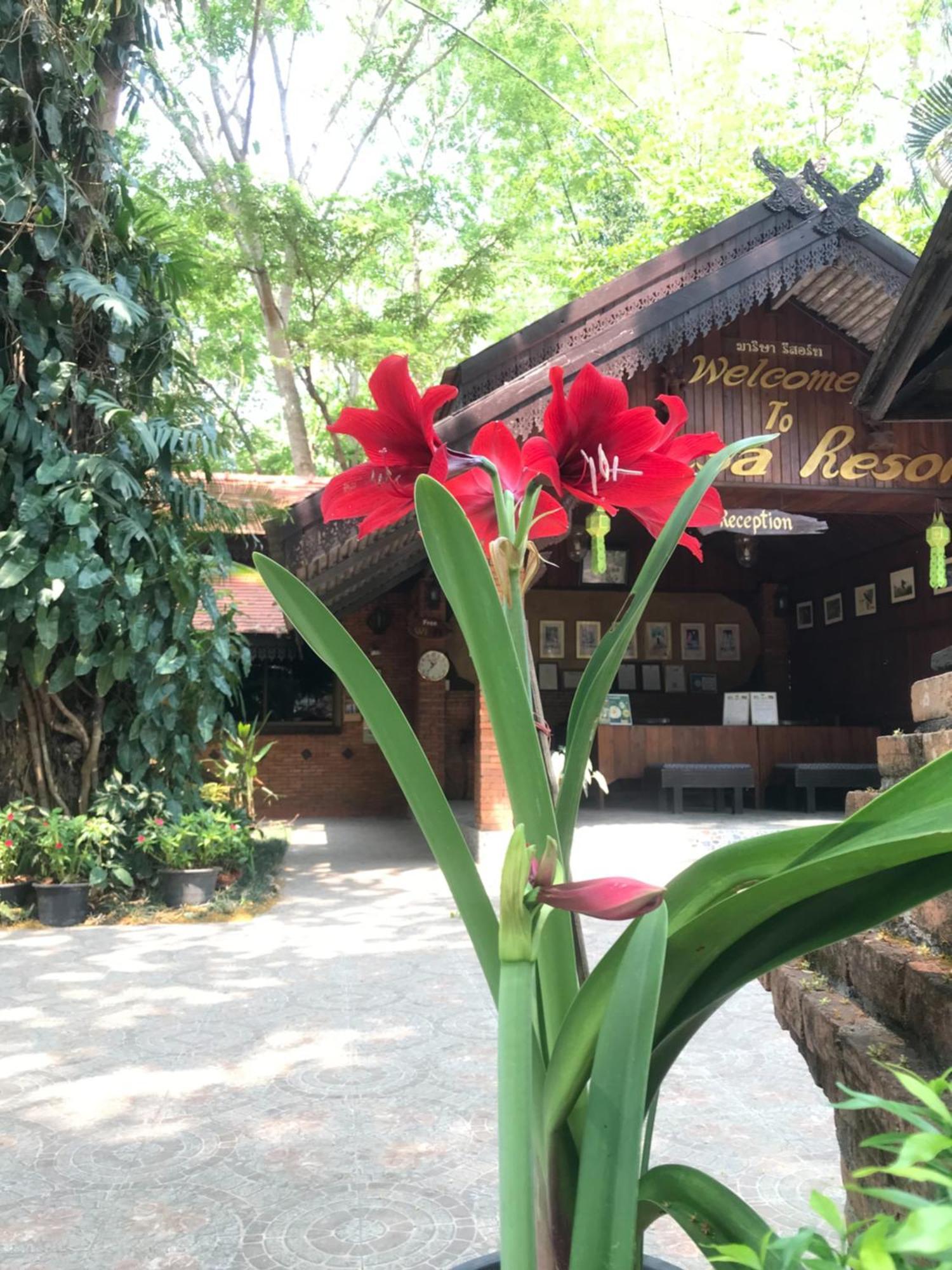 Marisa Resort & Spa Chiang Dao Ban Muang Ngai Zewnętrze zdjęcie
