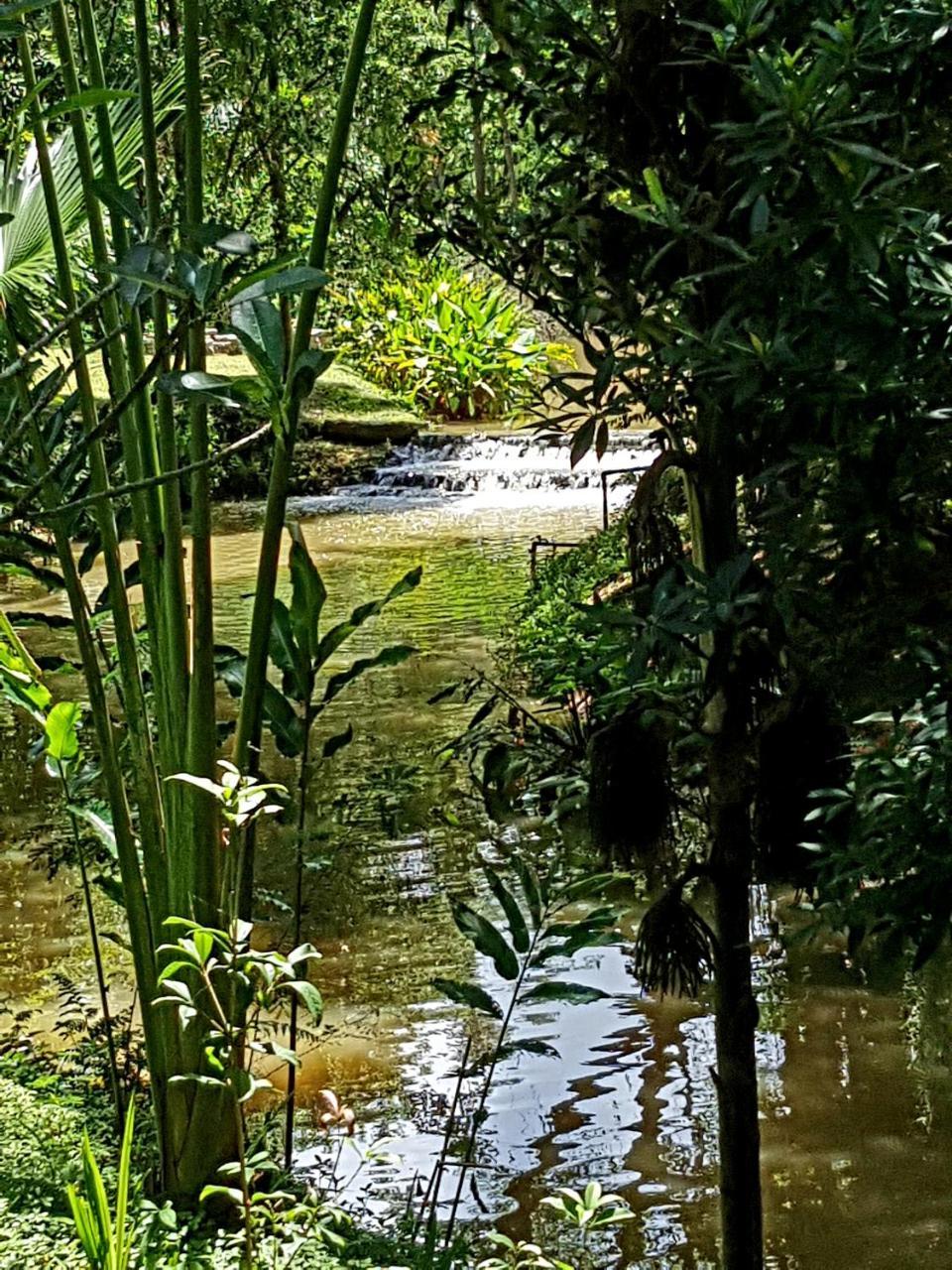 Marisa Resort & Spa Chiang Dao Ban Muang Ngai Zewnętrze zdjęcie